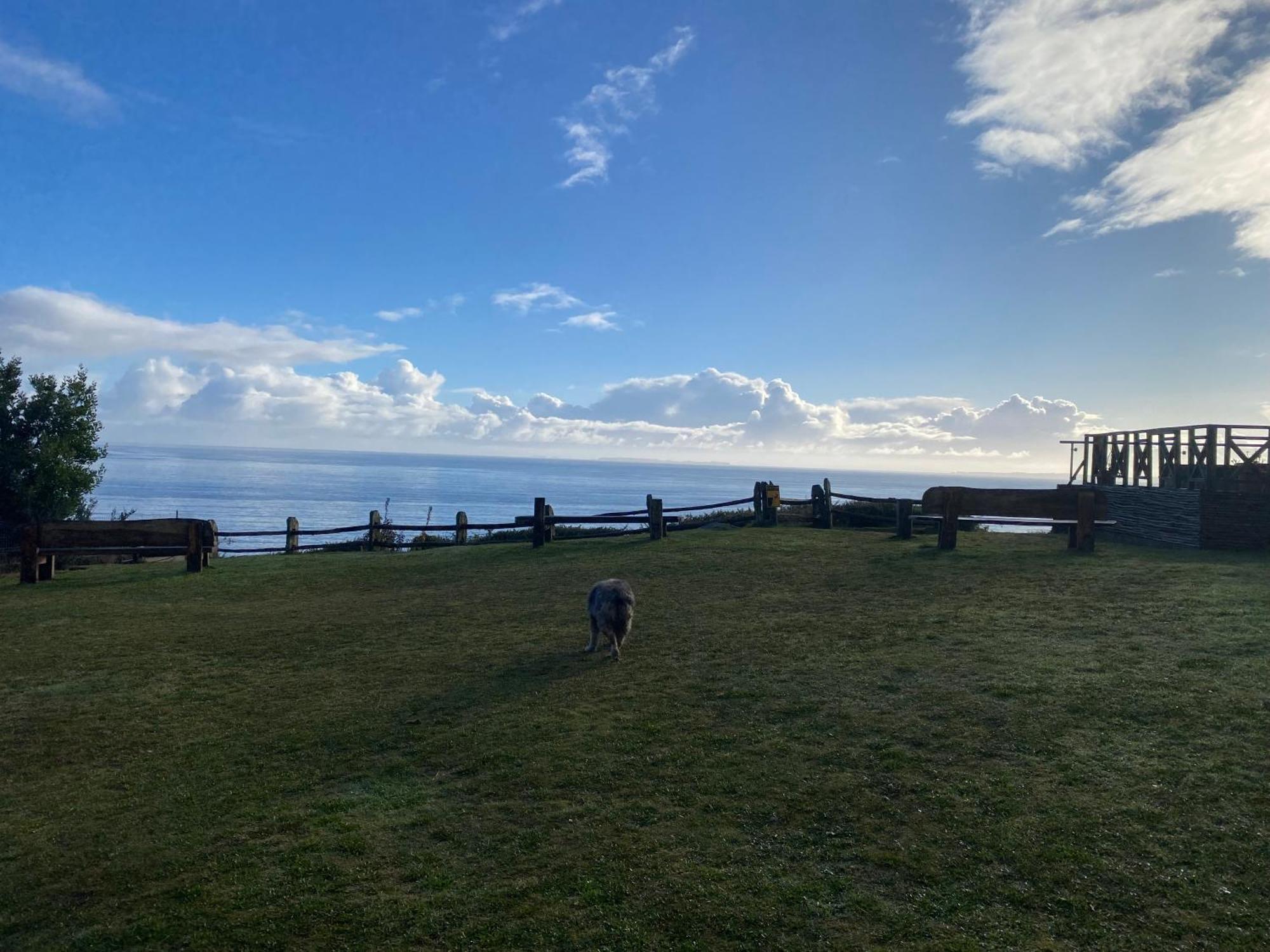 Hotel Faros Del Sur Ancud Exteriér fotografie